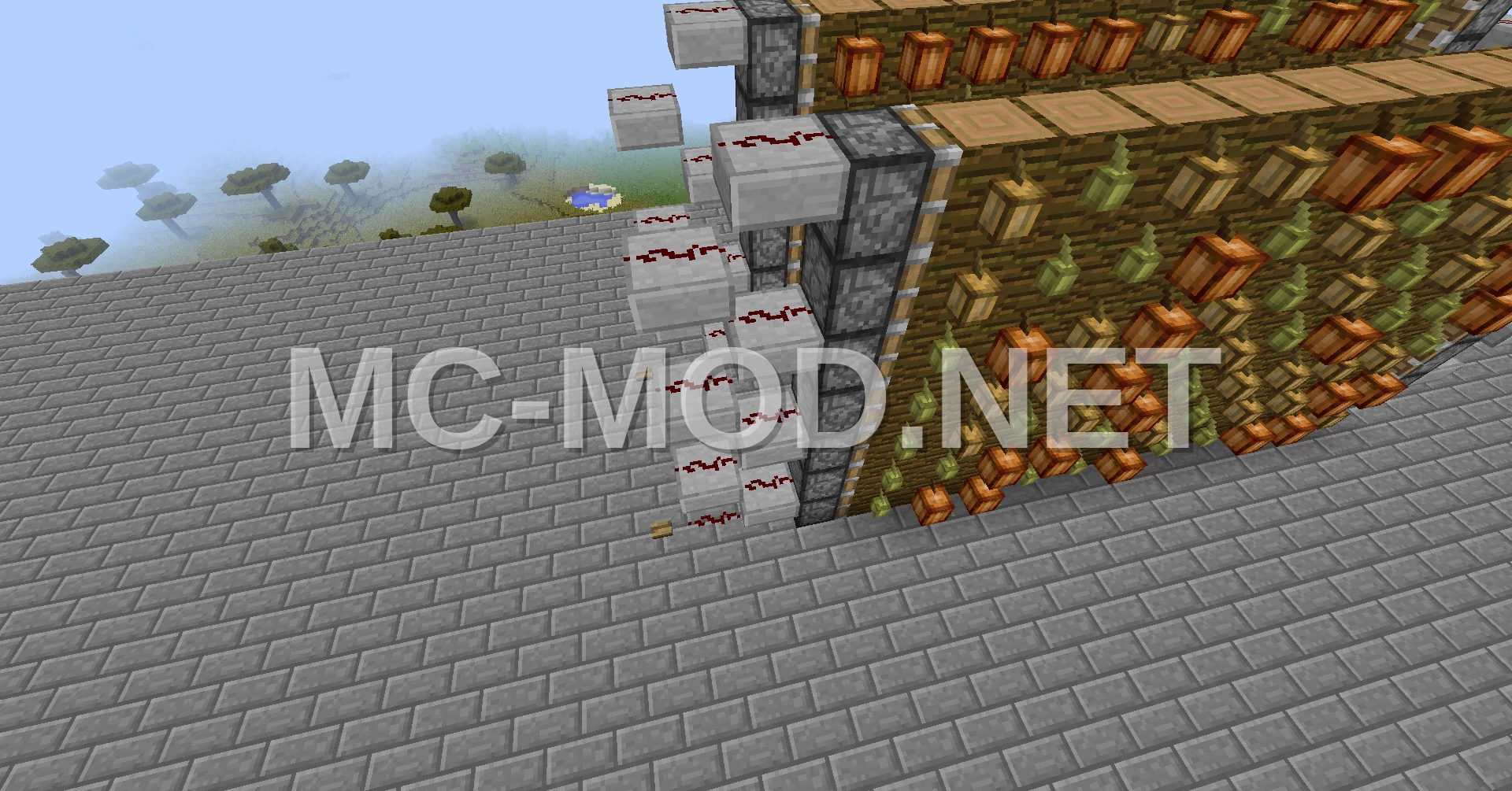 Efficient Cocoa Bean Farm