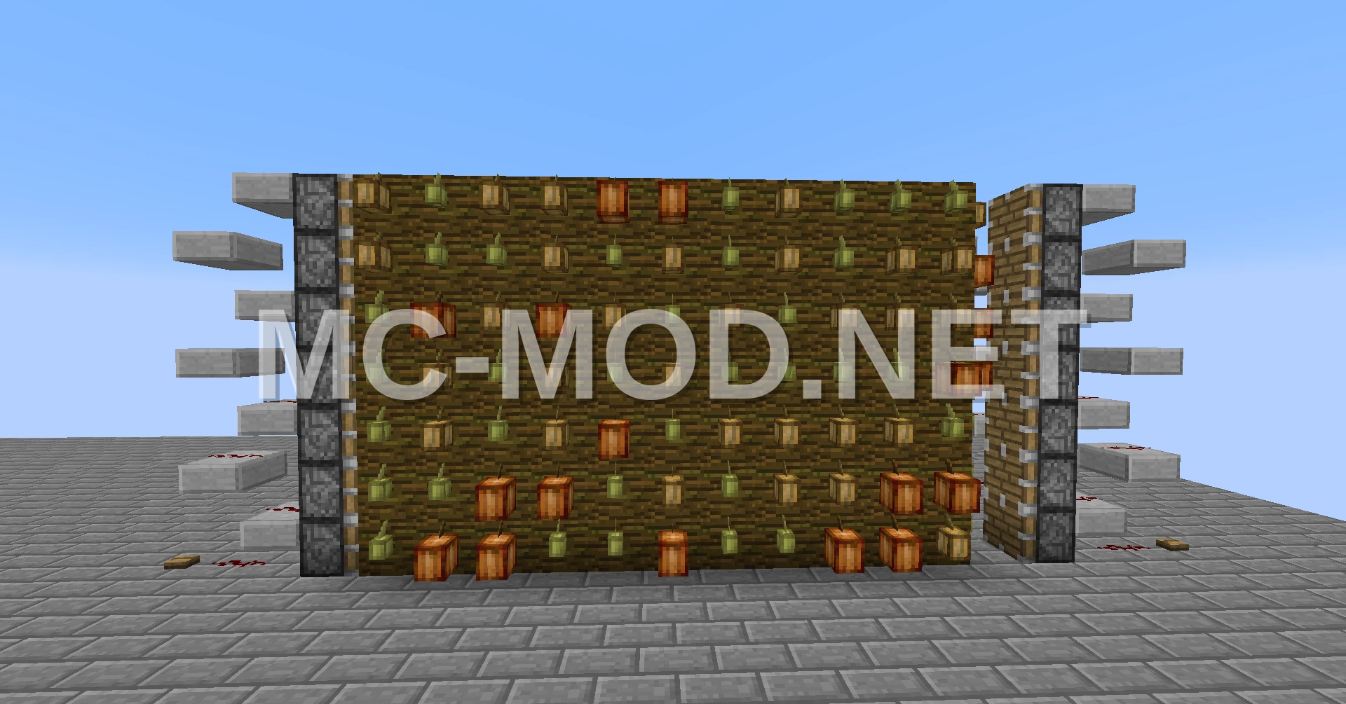 Efficient Cocoa Bean Farm