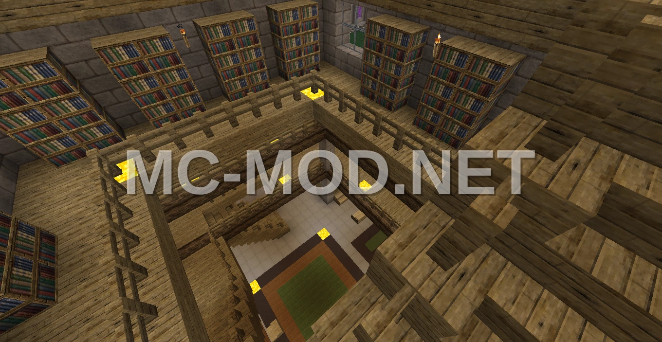 Large Furnished Library