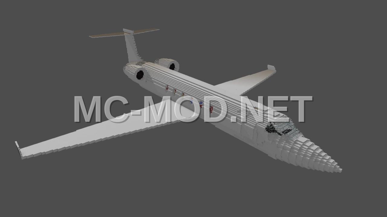 Luxury Private Jet Airplane