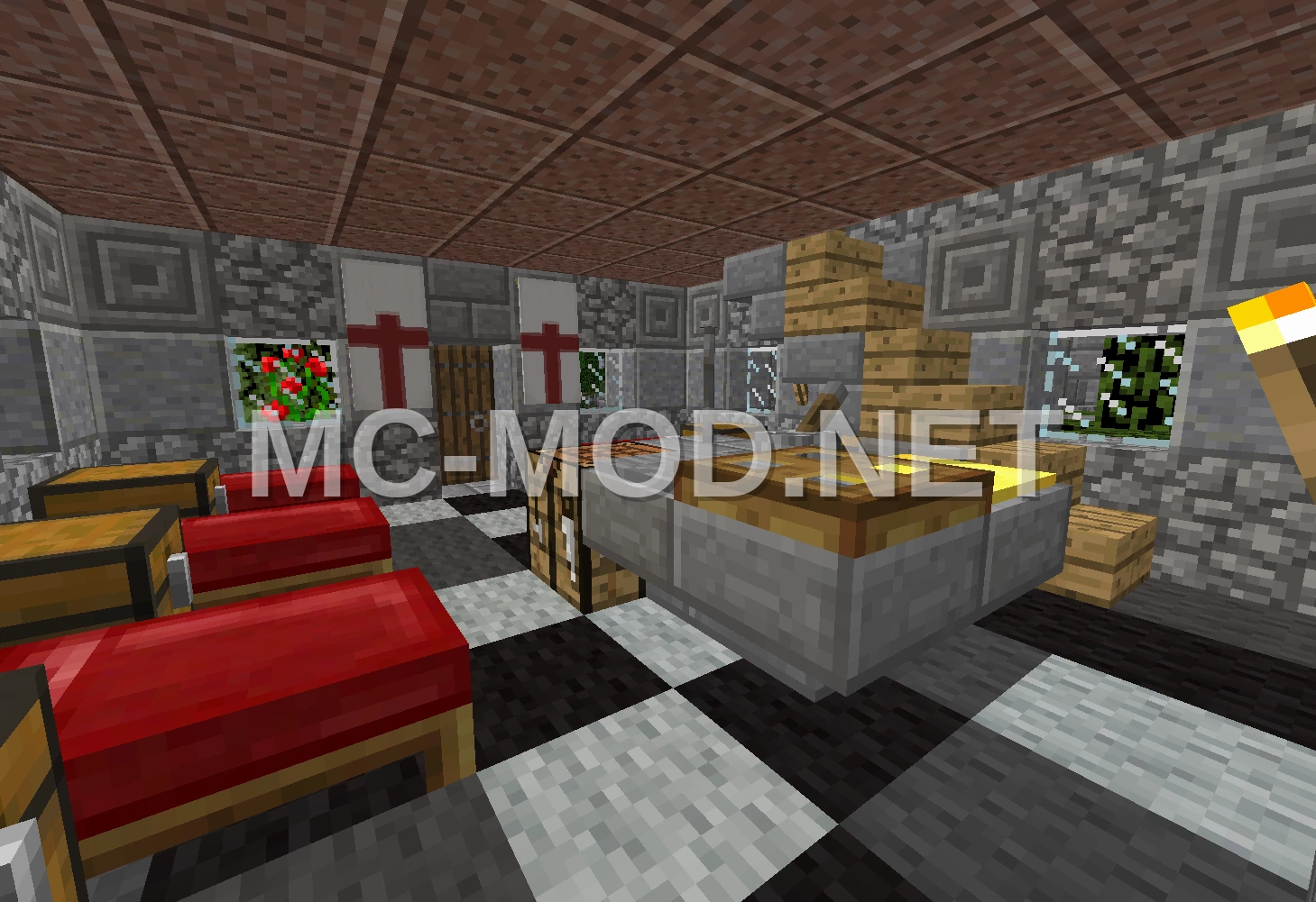 Medieval Doctor House