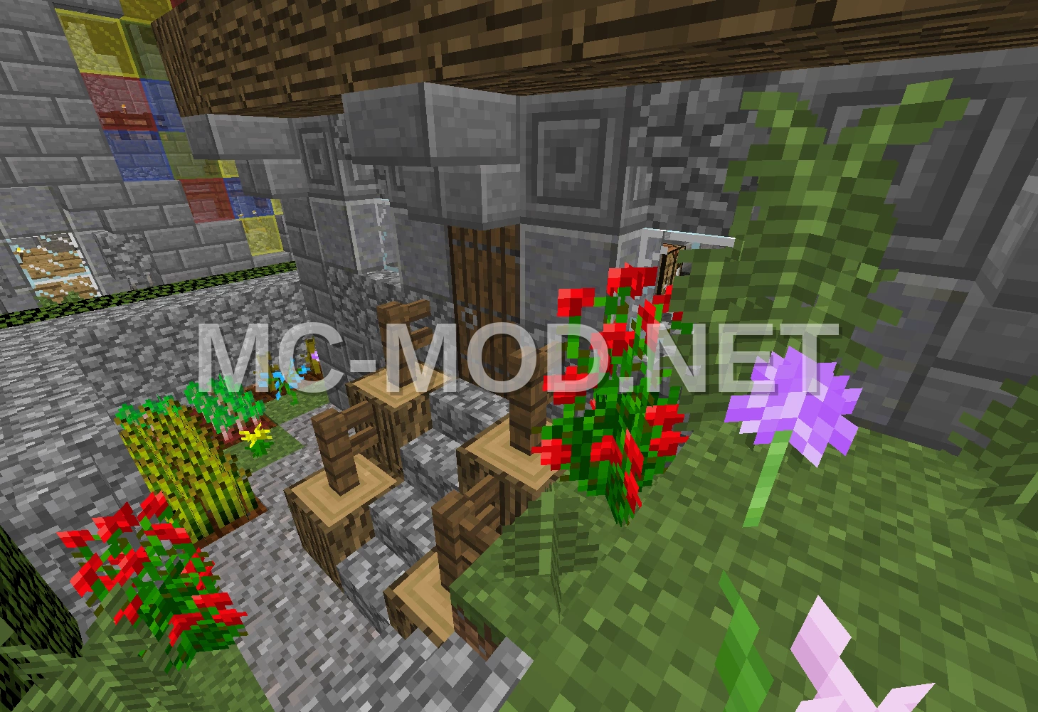 Medieval Doctor House