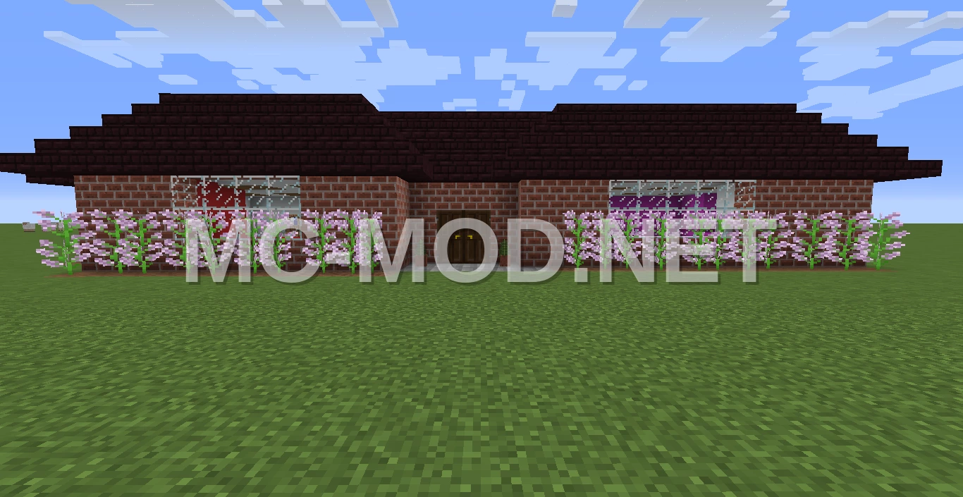 Modern Concrete & Dirt House