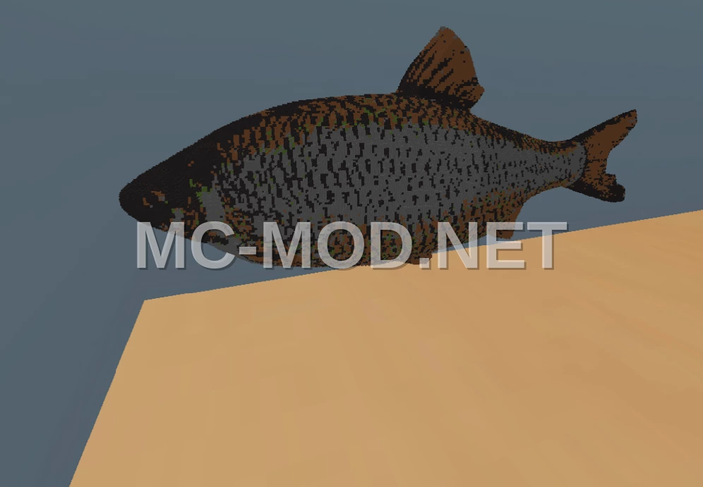 Rudd Fish