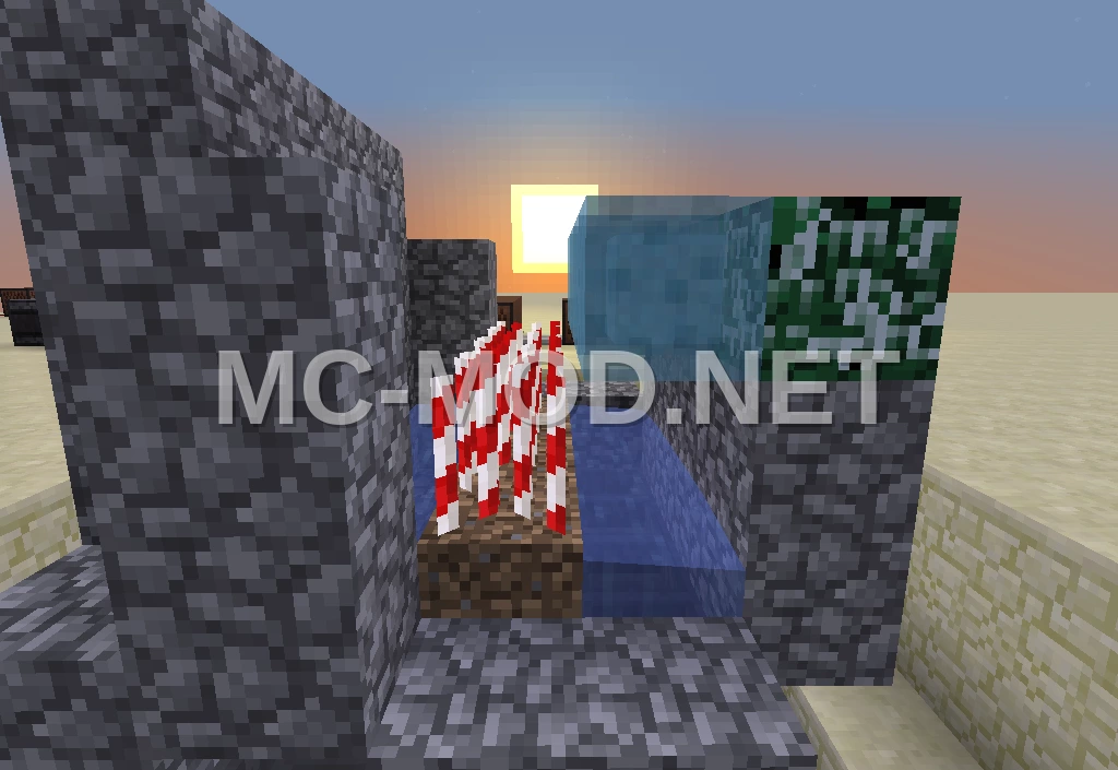 Simple Cobblestone Sugarcane Farm