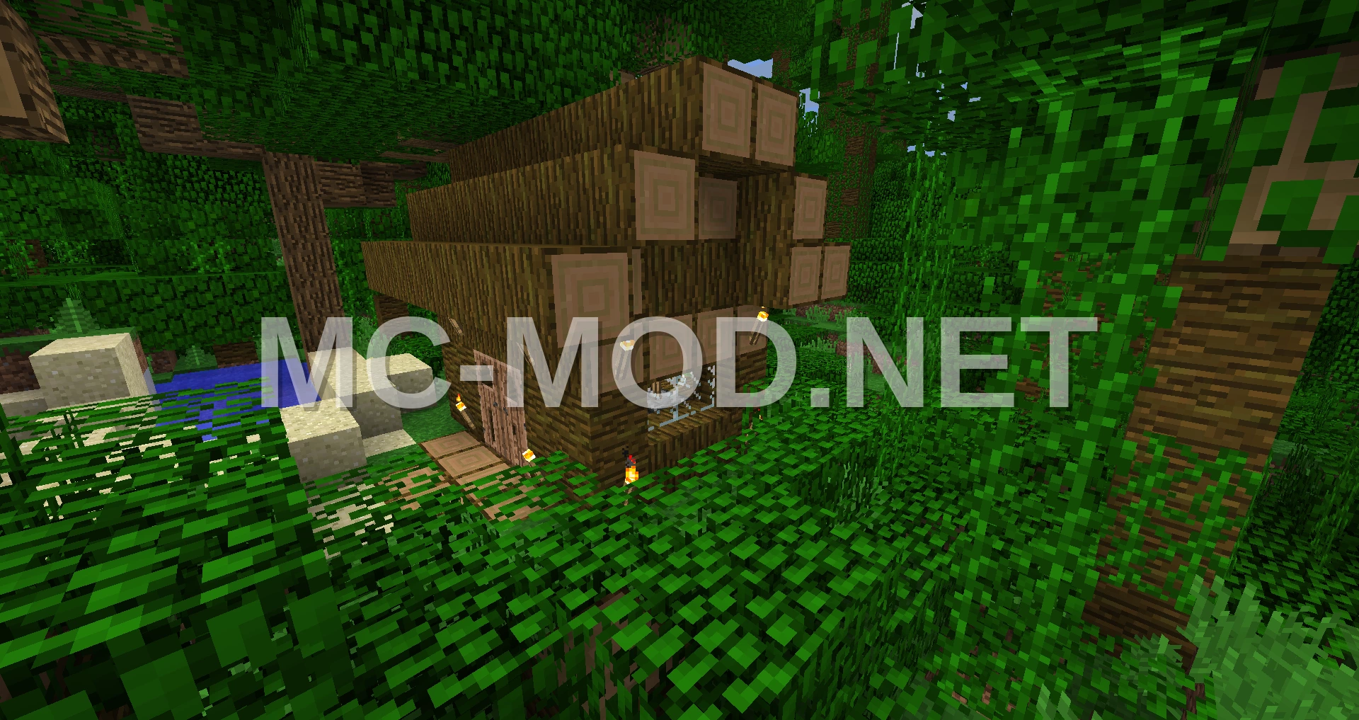 Small Natural Jungle House