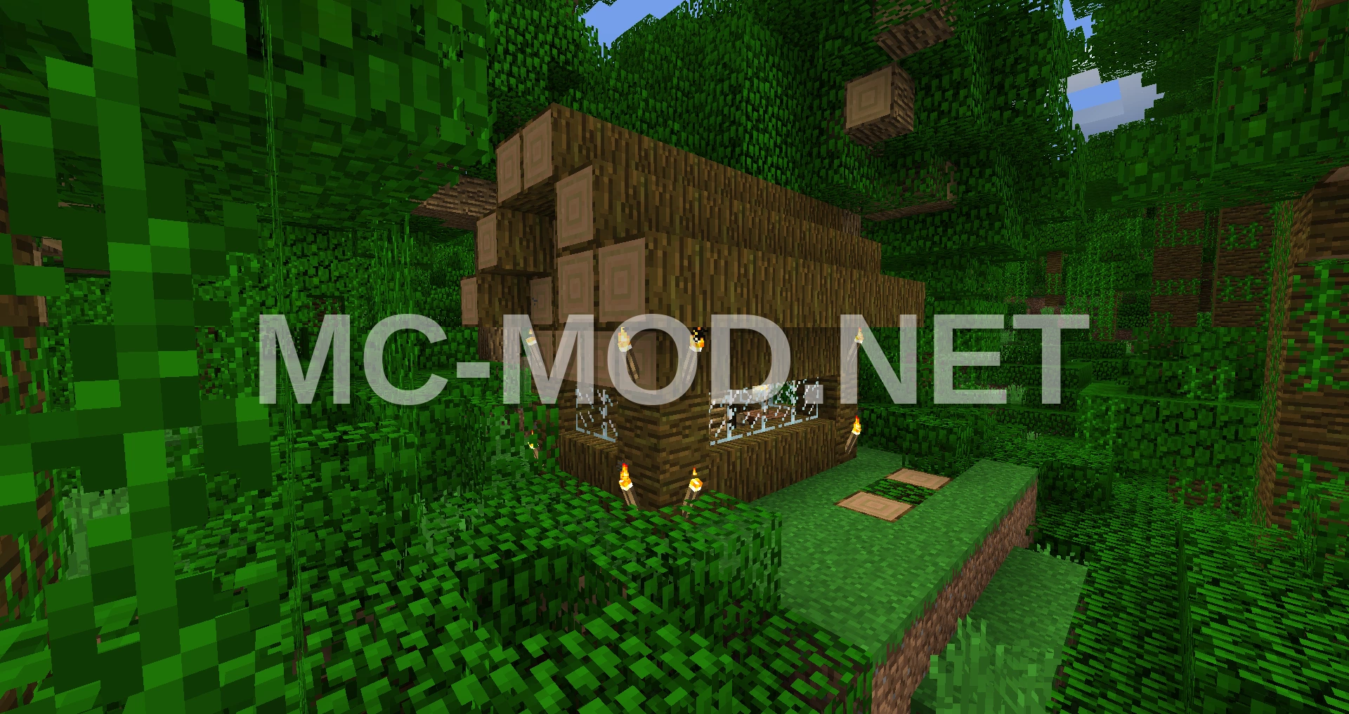 Small Natural Jungle House