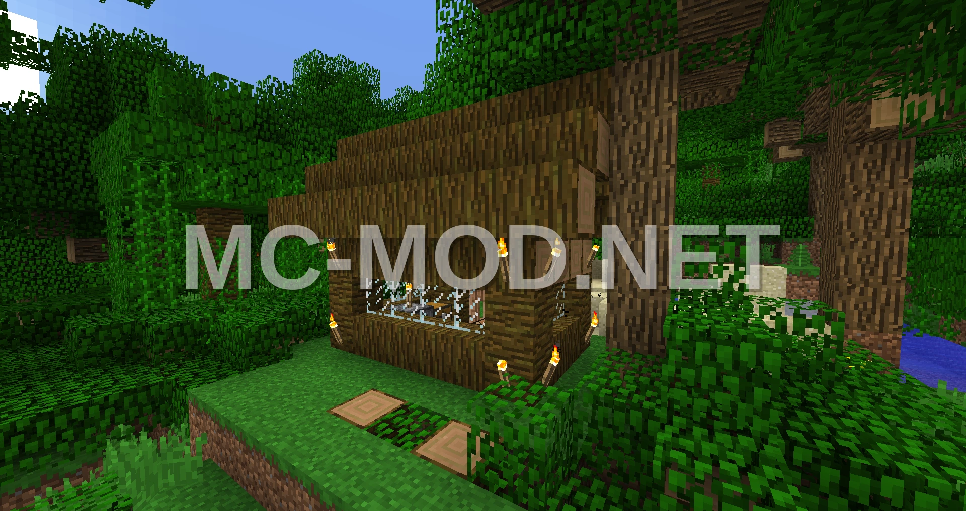 Small Natural Jungle House