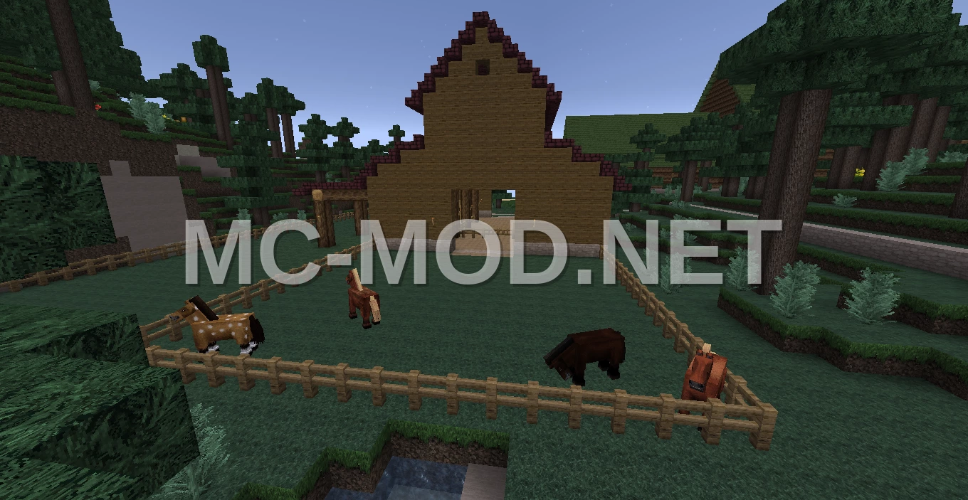 Spruce Wood Horse Barn and Pasture