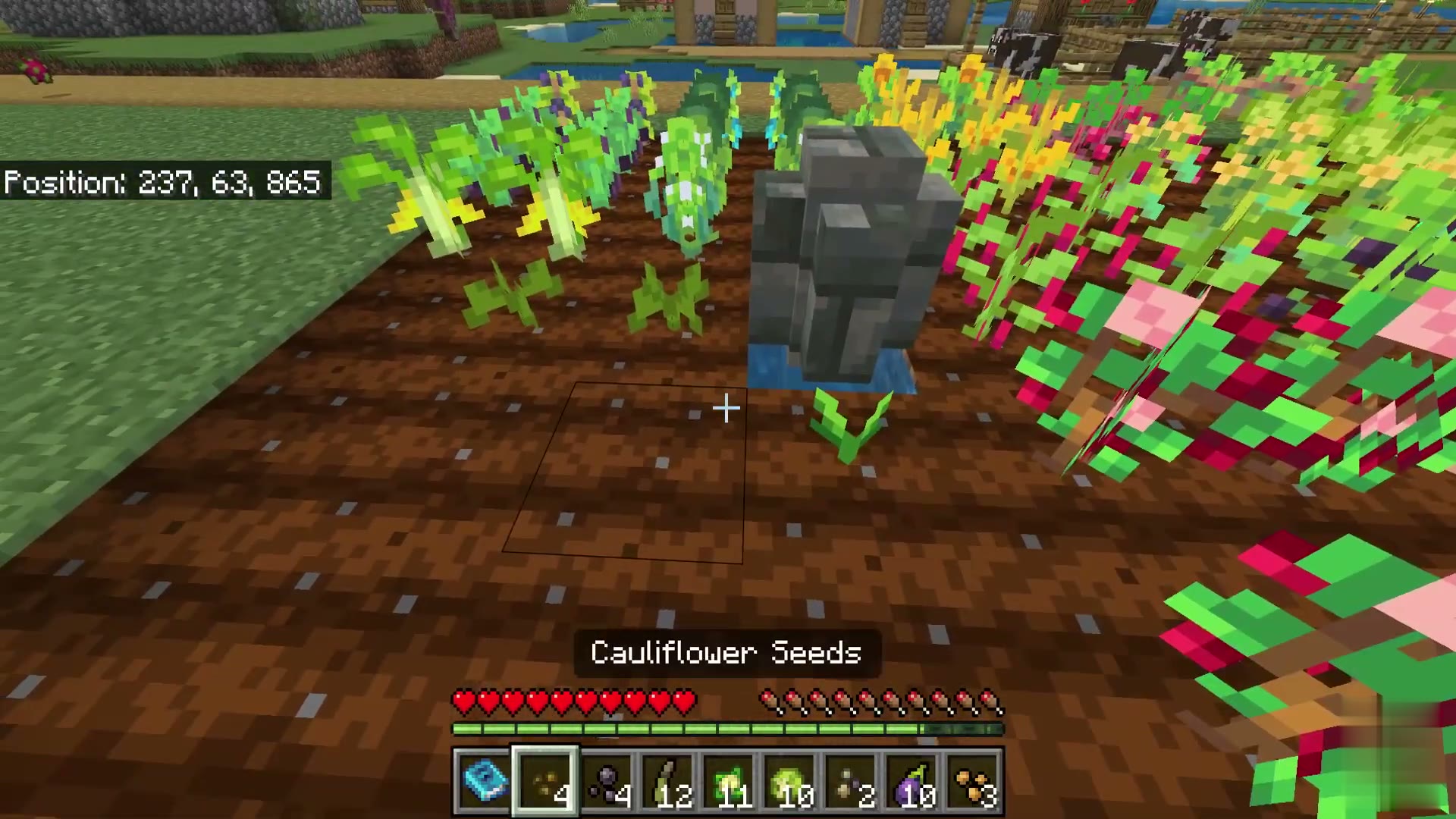 Culinary Variety screenshot 4
