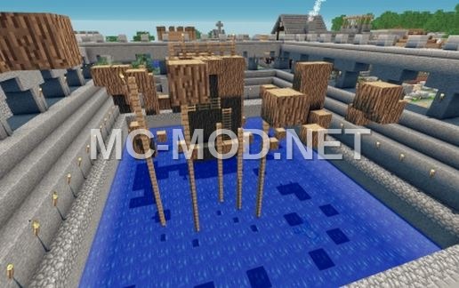 Easy Agility Course Arena