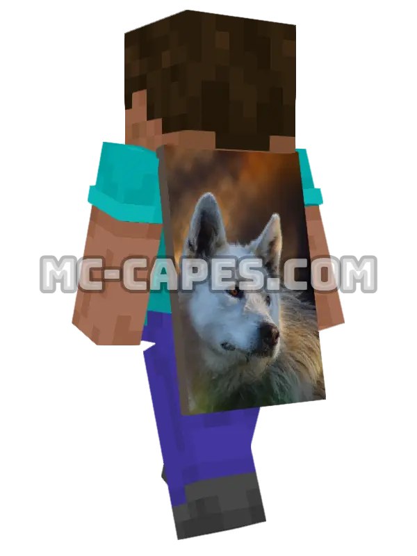 Arctic Wolf