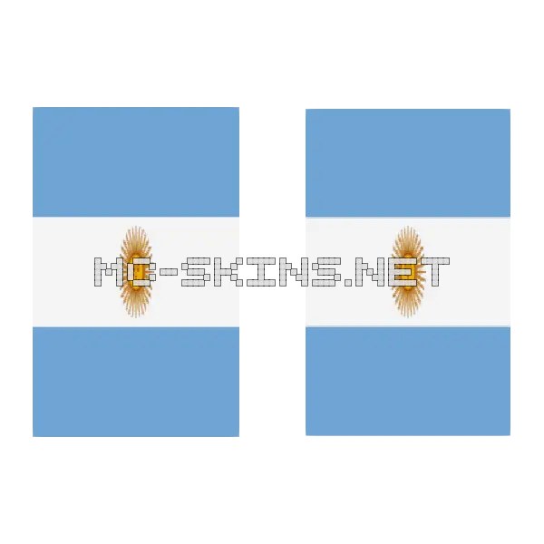 Argentina Flag