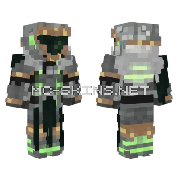 Armor Skin