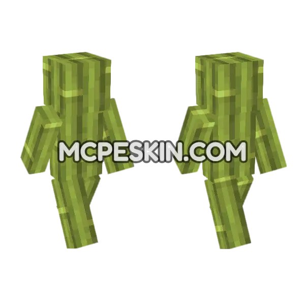 Bamboo Block Skin