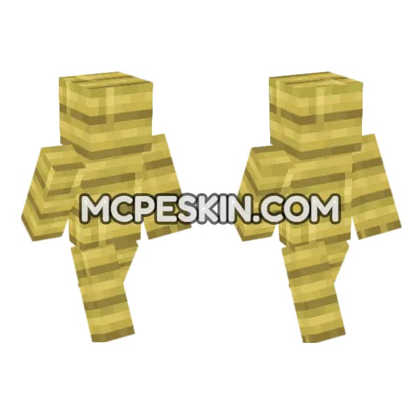Bamboo Planks Outfit