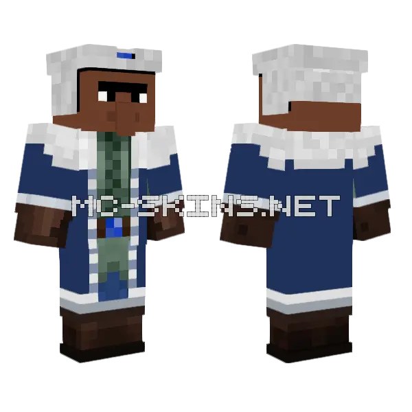 Biome Settler Tundra Villager