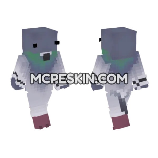 Birb Skin