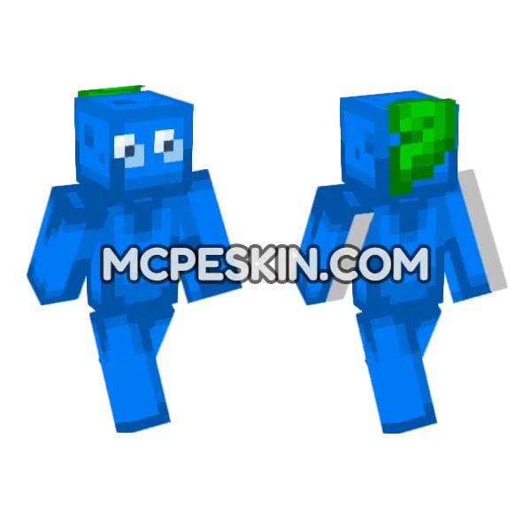 Blueberry Skin