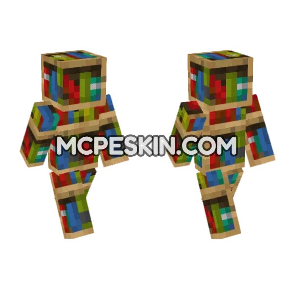 Bookshelf Skin