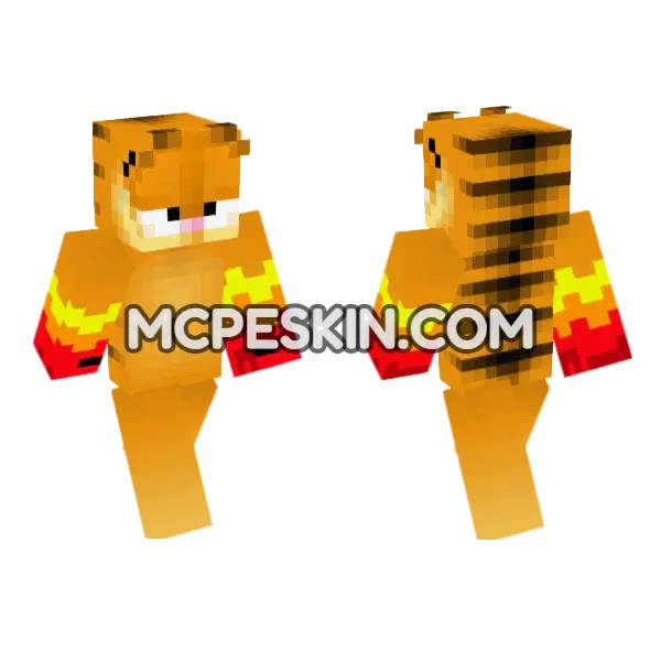 Boxer Garfield