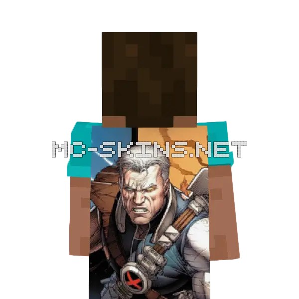 Cable