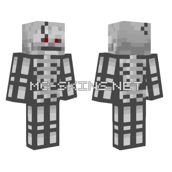 Chanoskeleton