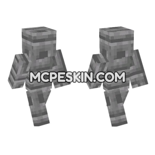 Chiseled Stone Bricks