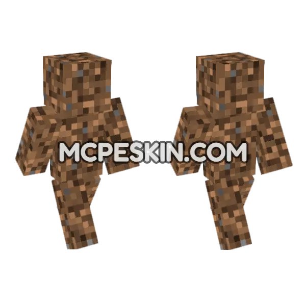 Coarse Dirt Skin
