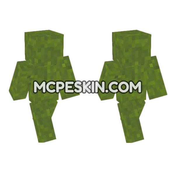 Concrete Powder Green