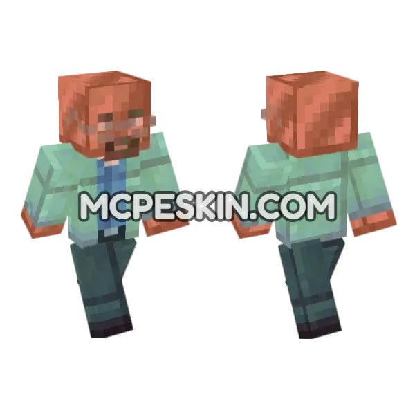 Copper Golem Skin