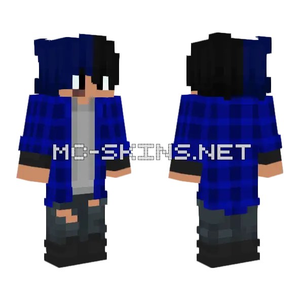 Damian Blue Plaid Skin