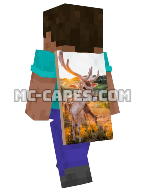 Deer