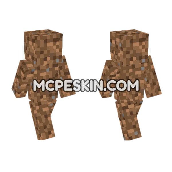 Dirt Block Skin