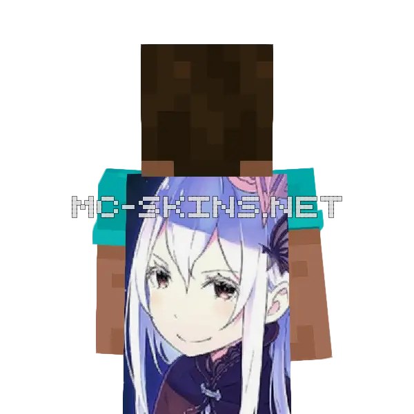 Echidna