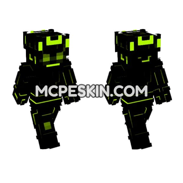 Echo Skin
