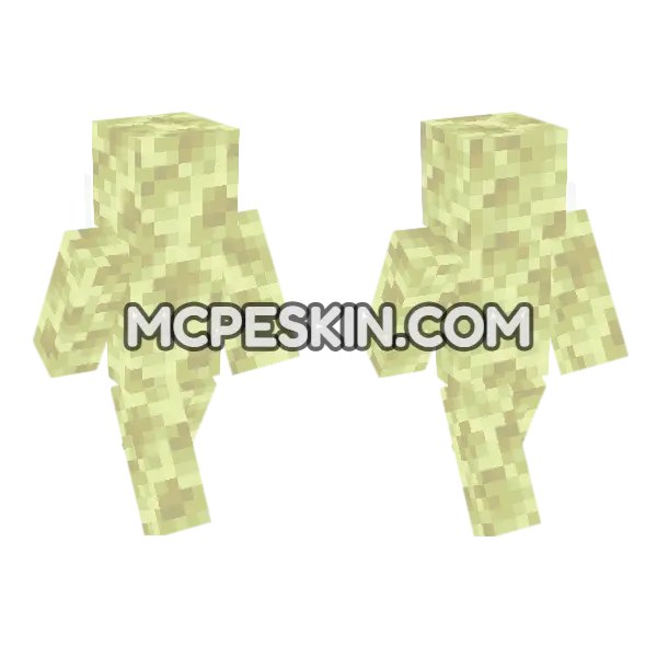 End Stone Skin