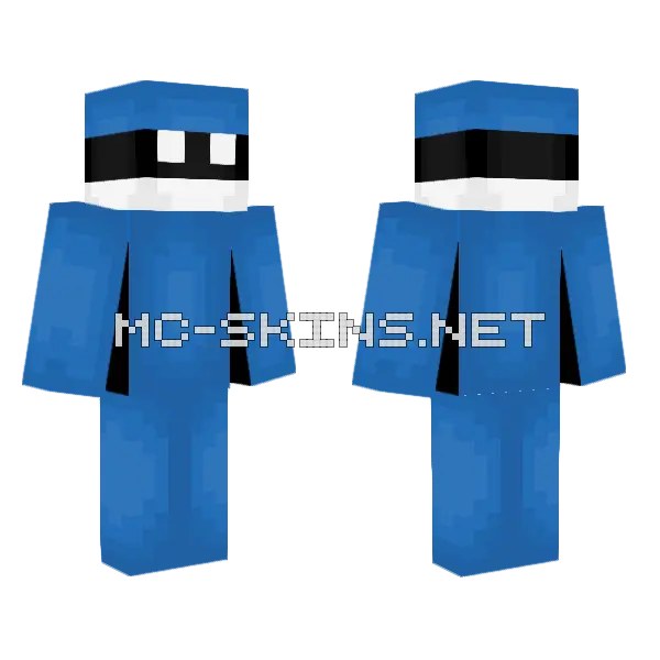 Estonia Flag