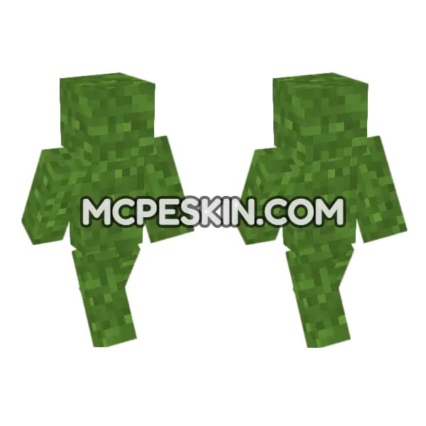 Grass Block Skin