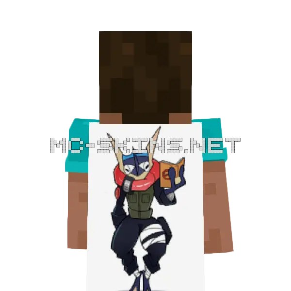 Greninja Ninja