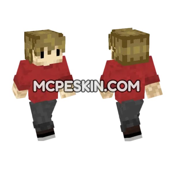 Grian Skin