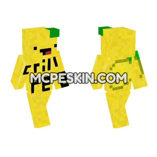 Grillpee Skin