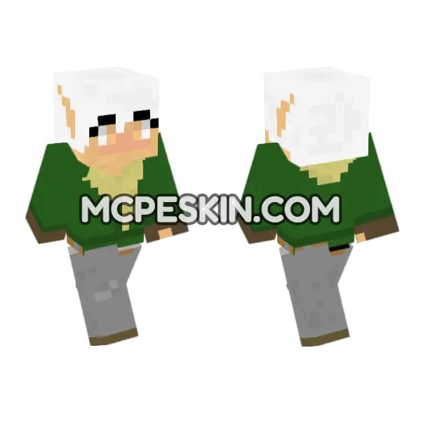 Jenny Mod Bedrock Skin