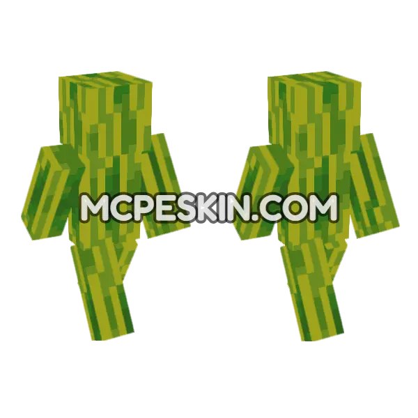 Melon Skin