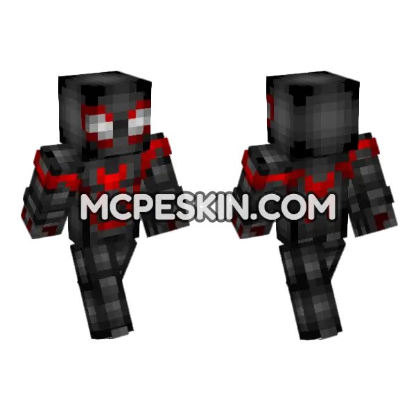Miles Morales Skin