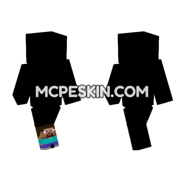 Mini Steve
