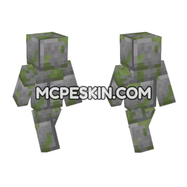Mossy Stone Bricks