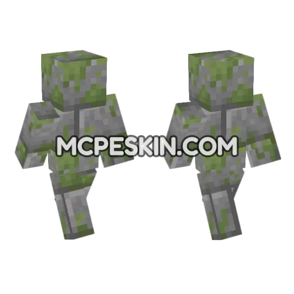 Mossy Stone Bricks