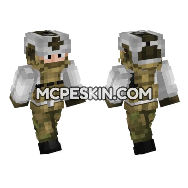 Norwegian Army Soldier