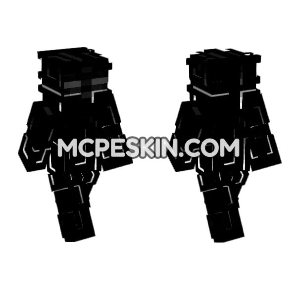 Nyx Skin